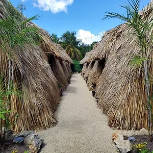  Campingplatz Hakuna Matata Glamping Mexiko