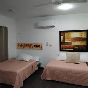  Apartment Estudio Zona Centro Cerca De La Terminal Ado Mexiko